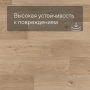 QS Second choice Alpha BLOS  SPE40321 - AVSPU 40321 Дуб береговой бежевый
