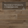 QS SPC Canyon CSPC 20299 Дуб северный коричневый