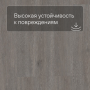 QS LIVYN Balance Click Plus BACP 40060 Дуб шелковый темно-серый