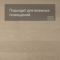 QS Second choice Alpha BLOS BASE  SPE40277 - AVSPT 40277 Дуб молочный