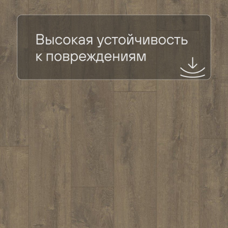 Quick Step LIVYN Balance Glue Plus BAGP 40160 Дуб бархатный коричневый