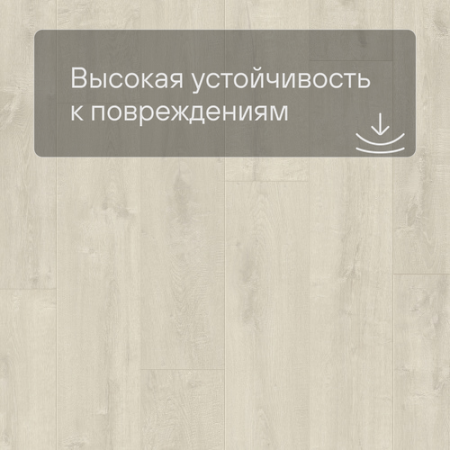 QS LIVYN Balance Click BACL 40157 Дуб бархатный светлый