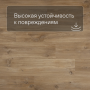 QS Second choice Alpha BLOS BASE  SPE40039 - AVSPT 40039 Дуб каньон натуральный