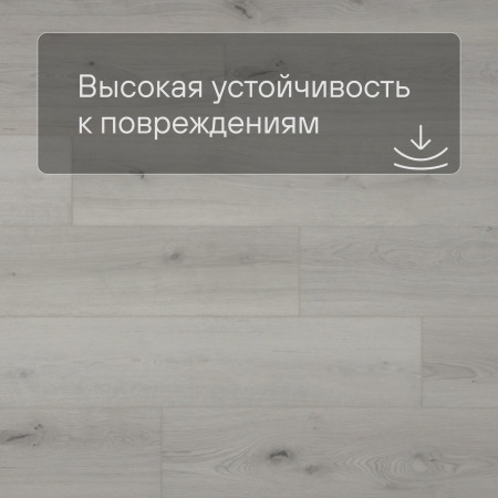 QS SPC Atmosphere ASPC 20240 Дуб светлый