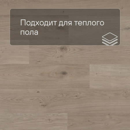 QS Second choice Alpha BLOS  SPE40322 - AVSPU 40322 Дуб береговой песчаный