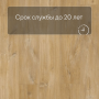 Quick Step LIVYN Balance Glue Plus BAGP 40039 Дуб каньон натуральный
