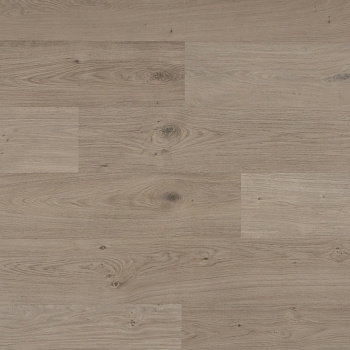 QS Second choice Alpha BLOS BASE  SPE40322 - AVSPT 40322 Дуб береговой песчаный