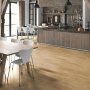 Quick Step LIVYN Balance Glue Plus BAGP 40039 Дуб каньон натуральный