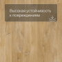 Quick Step LIVYN Balance Glue Plus BAGP 40039 Дуб каньон натуральный