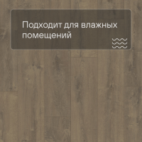 QS LIVYN Balance Click BACL 40160 Дуб бархатный коричневый