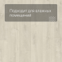 QS LIVYN Balance Click BACL 40157 Дуб бархатный светлый