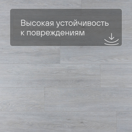 QS LIVYN Balance Click BACL 40052 Шёлковый дуб светлый
