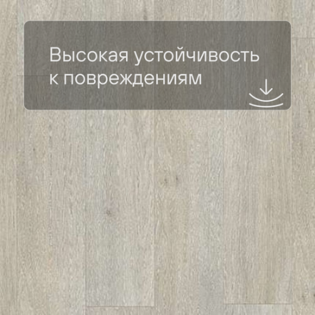 Quick Step LIVYN Balance Glue Plus BAGP 40052 Шёлковый дуб светлый