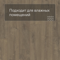 QS LIVYN Balance Click Plus BACP 40160 Дуб бархатный коричневый