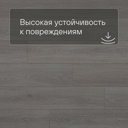 QS SPC Atmosphere ASPC 20246 Дуб светло-серый