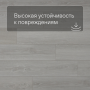 QS SPC Atmosphere ASPC 20249 Дуб светлый гладкий