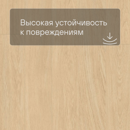 QS LIVYN Balance Click BACL 40032 Дуб светлый отборный
