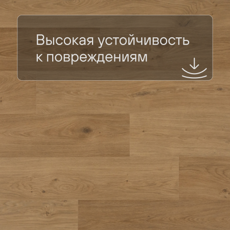 QS Second choice Alpha BLOS BASE  SPE40320 - AVSPT 40320 Дуб береговой медовый