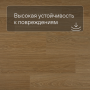 QS LIVYN Pulse Glue Plus PUGP 40098 Дуб чистый медовый