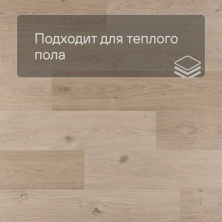 QS Second choice Alpha BLOS BASE  SPE40321 - AVSPT 40321 Дуб береговой бежевый