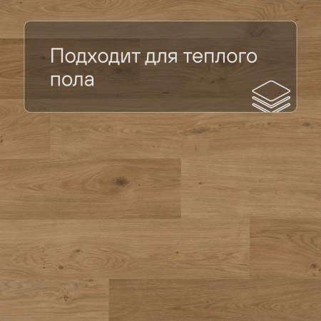 QS Second choice Alpha BLOS  SPE40320 - AVSPU 40320 Дуб береговой медовый