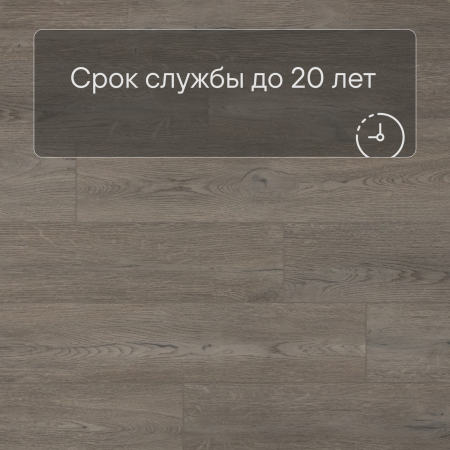 QS SPC Atmosphere ASPC 20242 Дуб греш