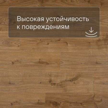 QS LIVYN Balance Click BACL 40025 Дуб коттедж натуральный