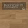 QS Alpha Vinyl BLOS BASE планка AVSPT 40320 Дуб береговой медовый