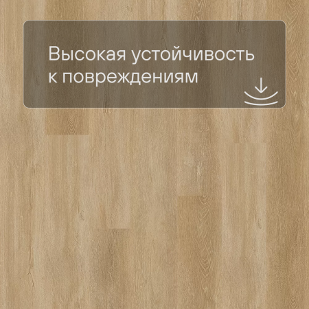 QS SPC Atmosphere ASPC 20251 Дуб золотой