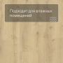 QS LIVYN Balance Click BACL 40156 Дуб королевский натуральный