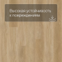 QS SPC Atmosphere ASPC 20251 Дуб золотой