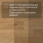 QS Second choice Alpha BLOS BASE  SPE40320 - AVSPT 40320 Дуб береговой медовый