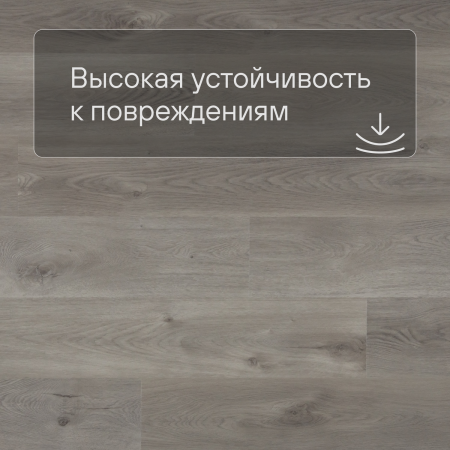 QS SPC Canyon CSPC 20297 Дуб северный темно-серый