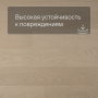 QS Second choice Alpha BLOS BASE  SPE40277 - AVSPT 40277 Дуб молочный