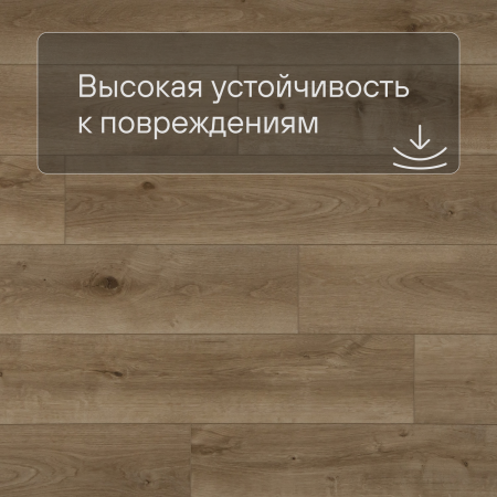 QS SPC Atmosphere ASPC 20243 Дуб натуральный