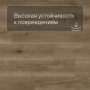 QS SPC Atmosphere ASPC 20243 Дуб натуральный