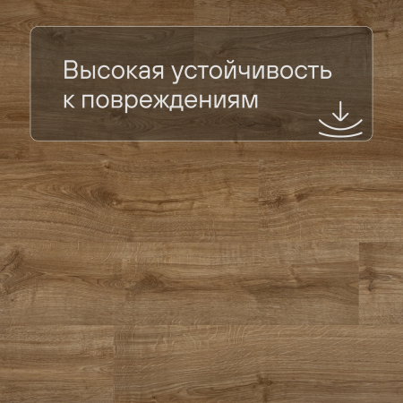 QS LIVYN Pulse Glue Plus PUGP 40088 Дуб осенний медовый