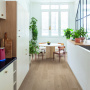 QS Second choice Alpha BLOS BASE  SPE40322 - AVSPT 40322 Дуб береговой песчаный